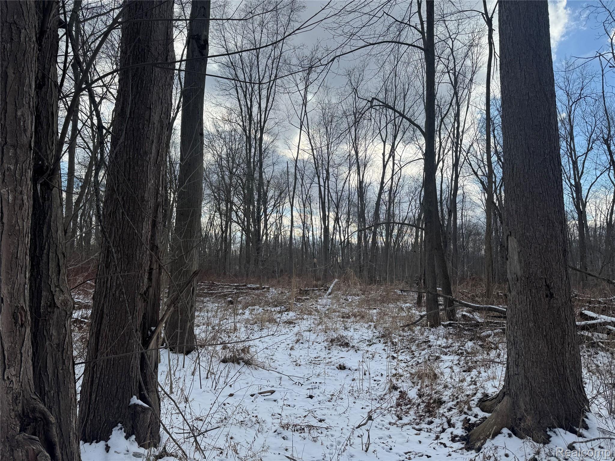 01 Remer Road China Township MI 48054