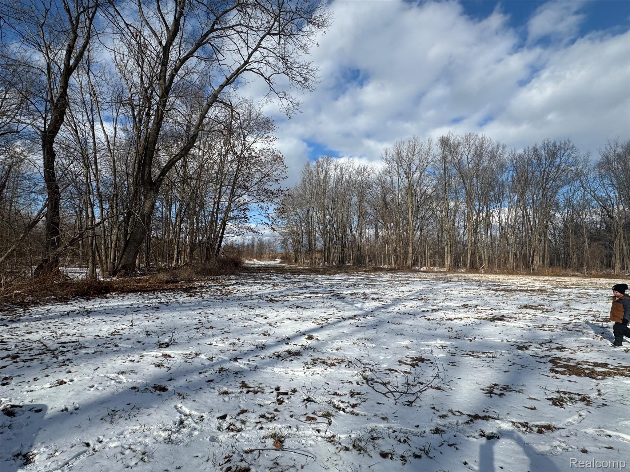01 Remer Road China Township MI 48054
