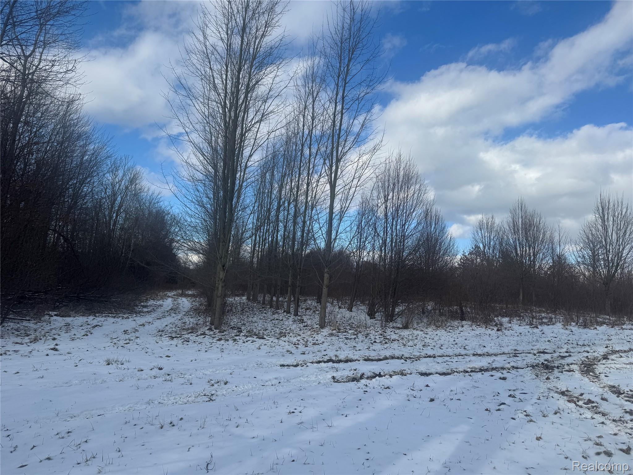 01 Remer Road China Township MI 48054
