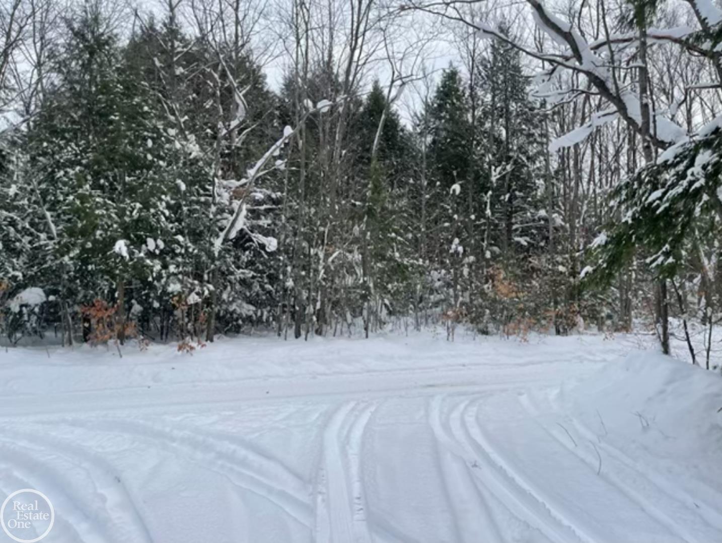 Ville Kenyon Trail Otsego Lake Township MI 49733