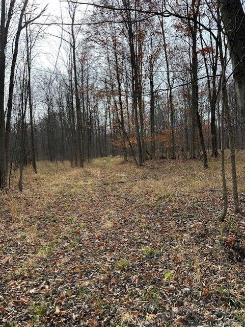 8438 Jordan Road Atlas Township MI 48439