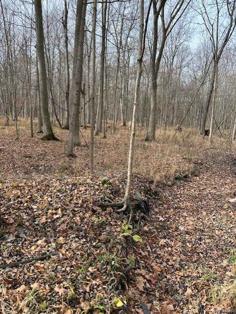 8438 Jordan Road Atlas Township MI 48439