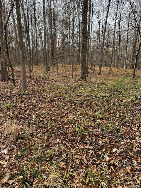 8438 Jordan Road Atlas Township MI 48439
