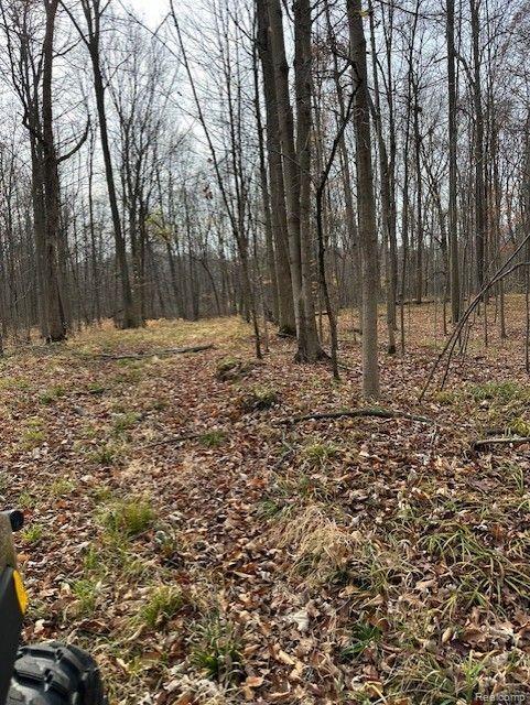 8438 Jordan Road Atlas Township MI 48439