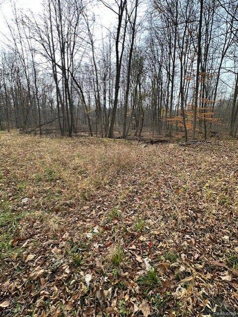 8438 Jordan Road Atlas Township MI 48439