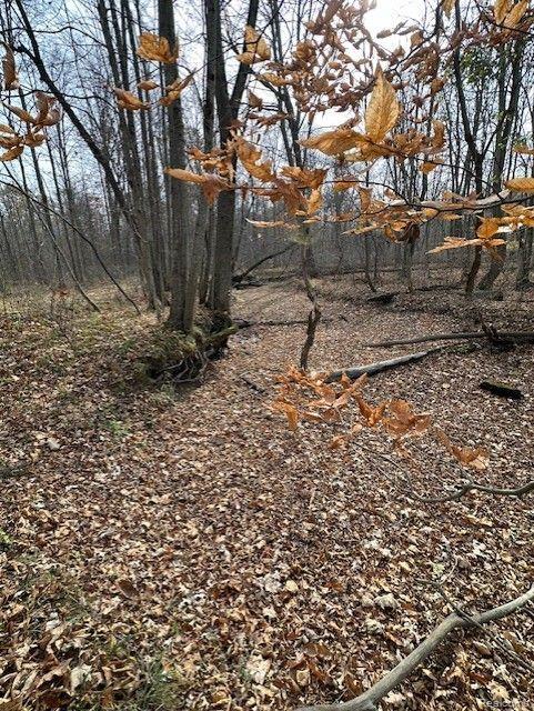 8438 Jordan Road Atlas Township MI 48439