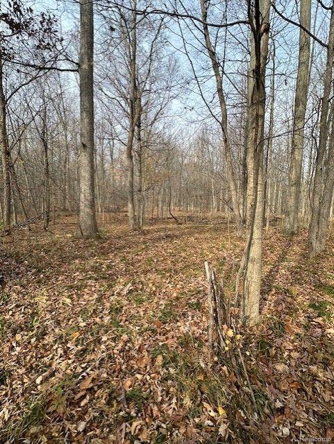 8438 Jordan Road Atlas Township MI 48439