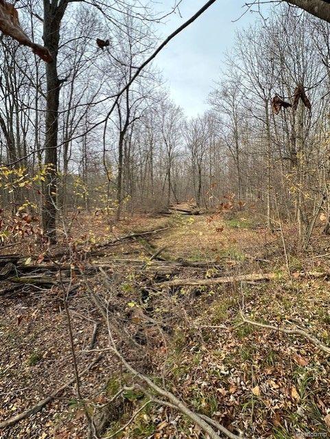 8438 Jordan Road Atlas Township MI 48439