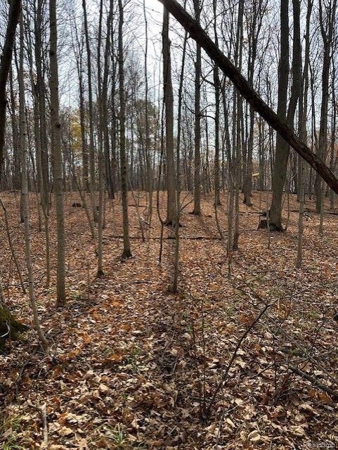 8438 Jordan Road Atlas Township MI 48439