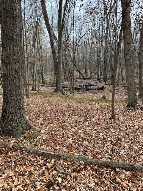 8438 Jordan Road Atlas Township MI 48439