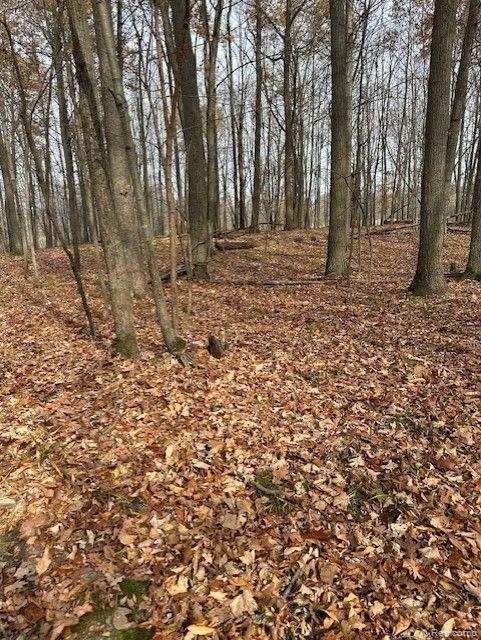 8438 Jordan Road Atlas Township MI 48439