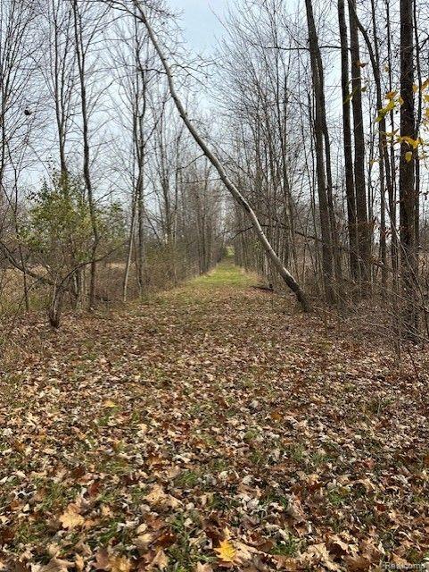 8438 Jordan Road Atlas Township MI 48439