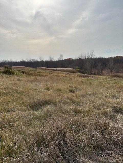 8438 Jordan Road Atlas Township MI 48439