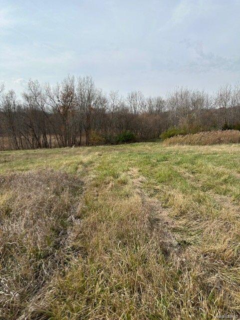 8438 Jordan Road Atlas Township MI 48439