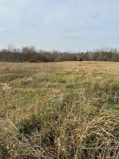 8438 Jordan Road Atlas Township MI 48439