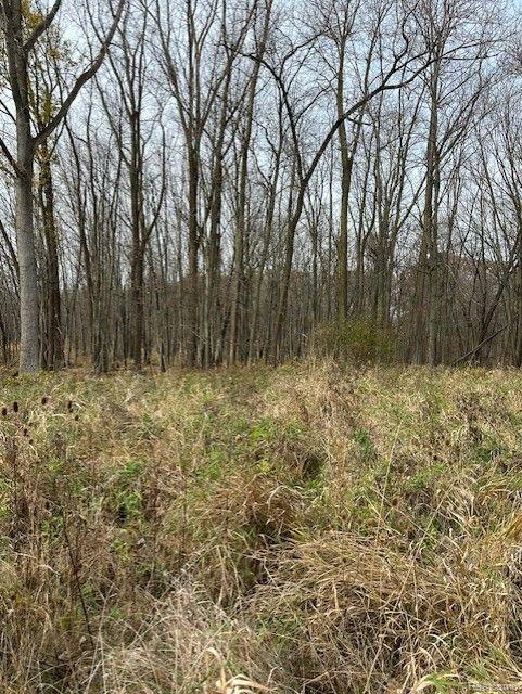8438 Jordan Road Atlas Township MI 48439