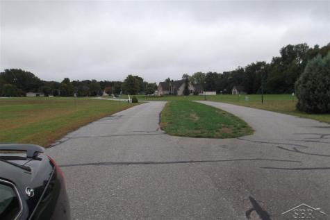 00 Adam Ridge Drive Sebewaing Village MI 48759