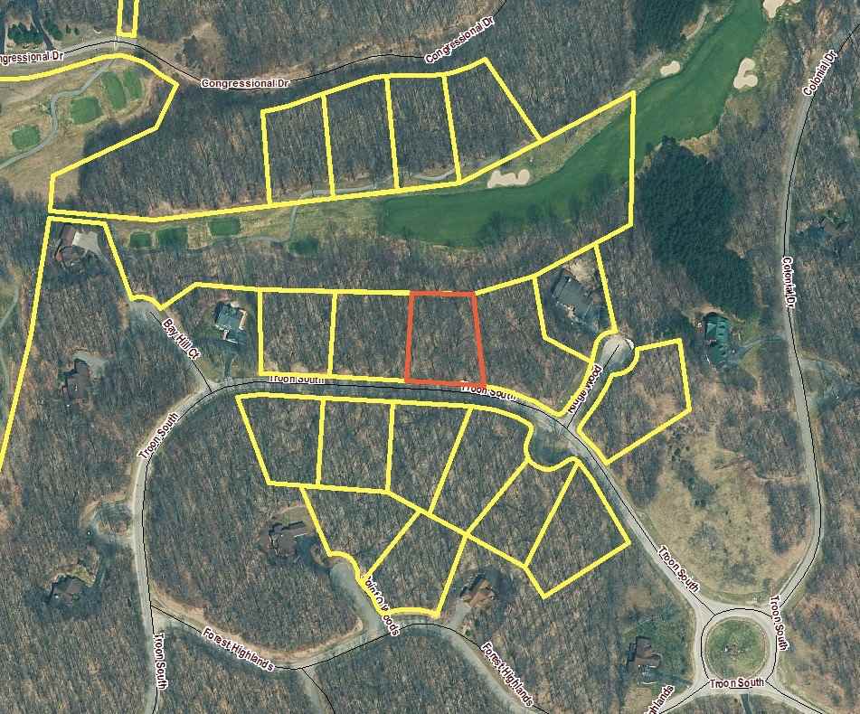 V/l 51 Troon South Kearney Township MI 49615