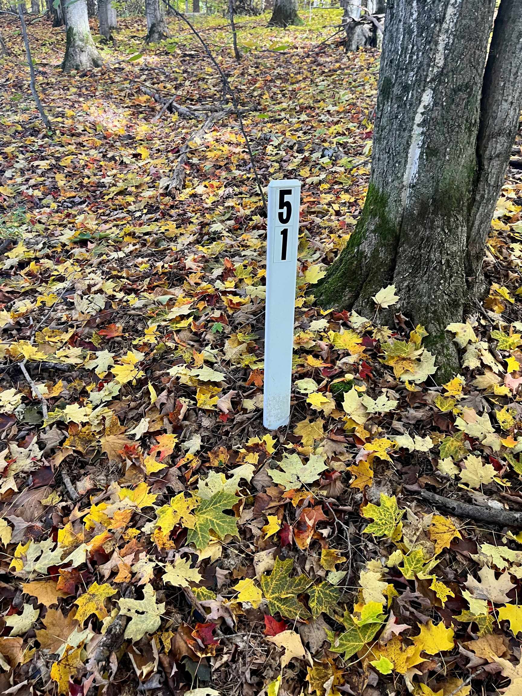 V/l 51 Troon South Kearney Township MI 49615