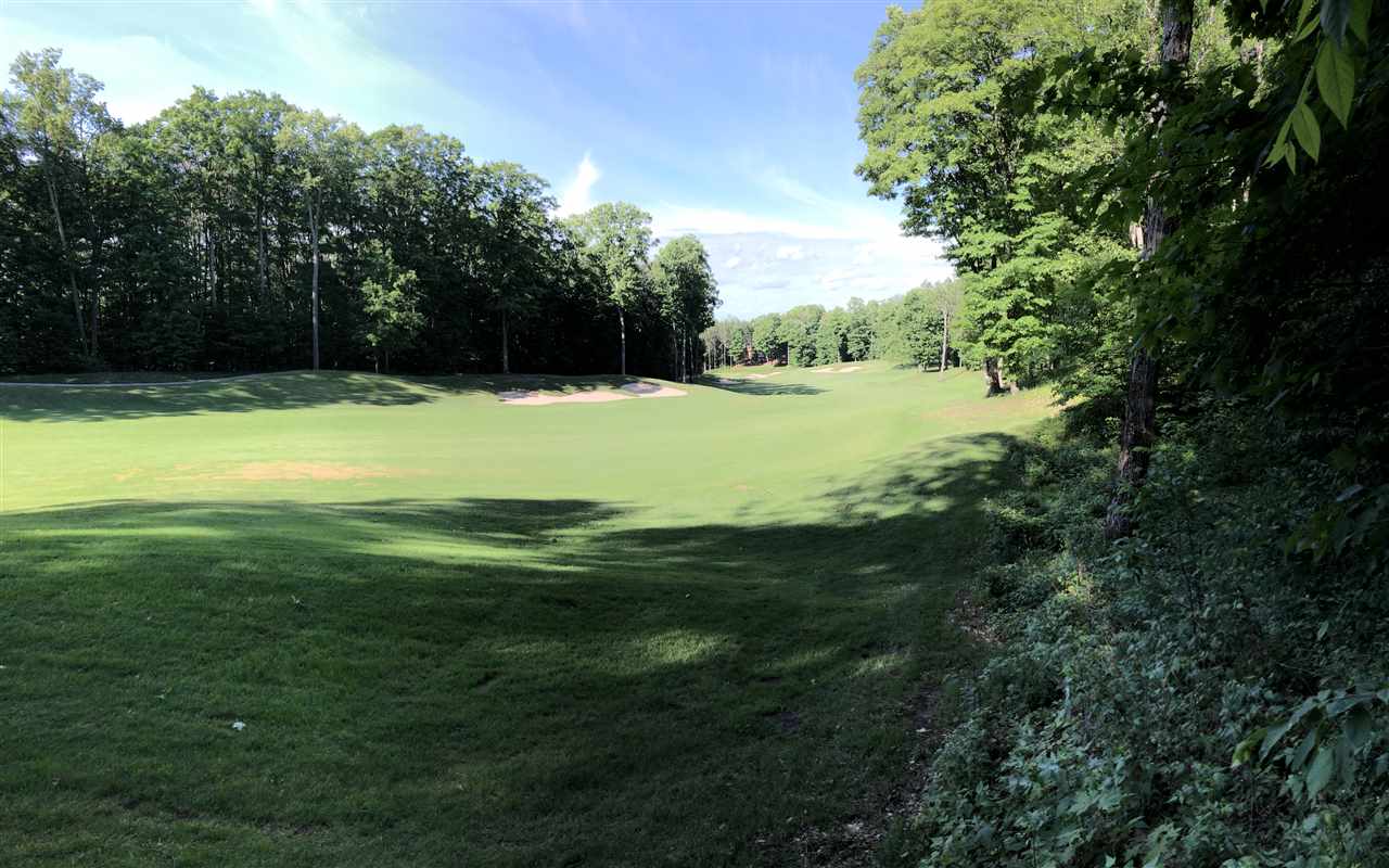 V/l 51 Troon South Kearney Township MI 49615