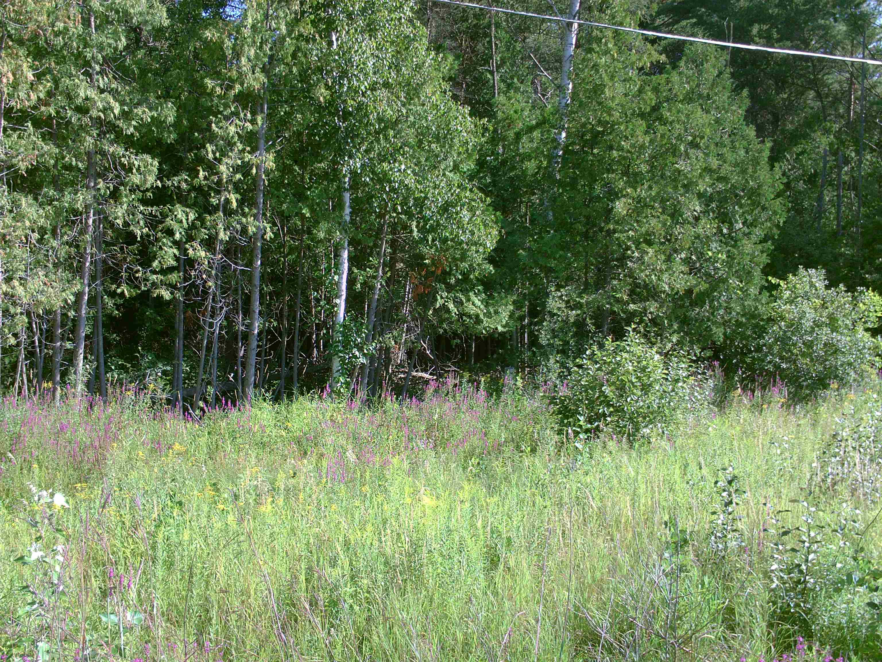 0 M-55 Tawas Township MI 48763