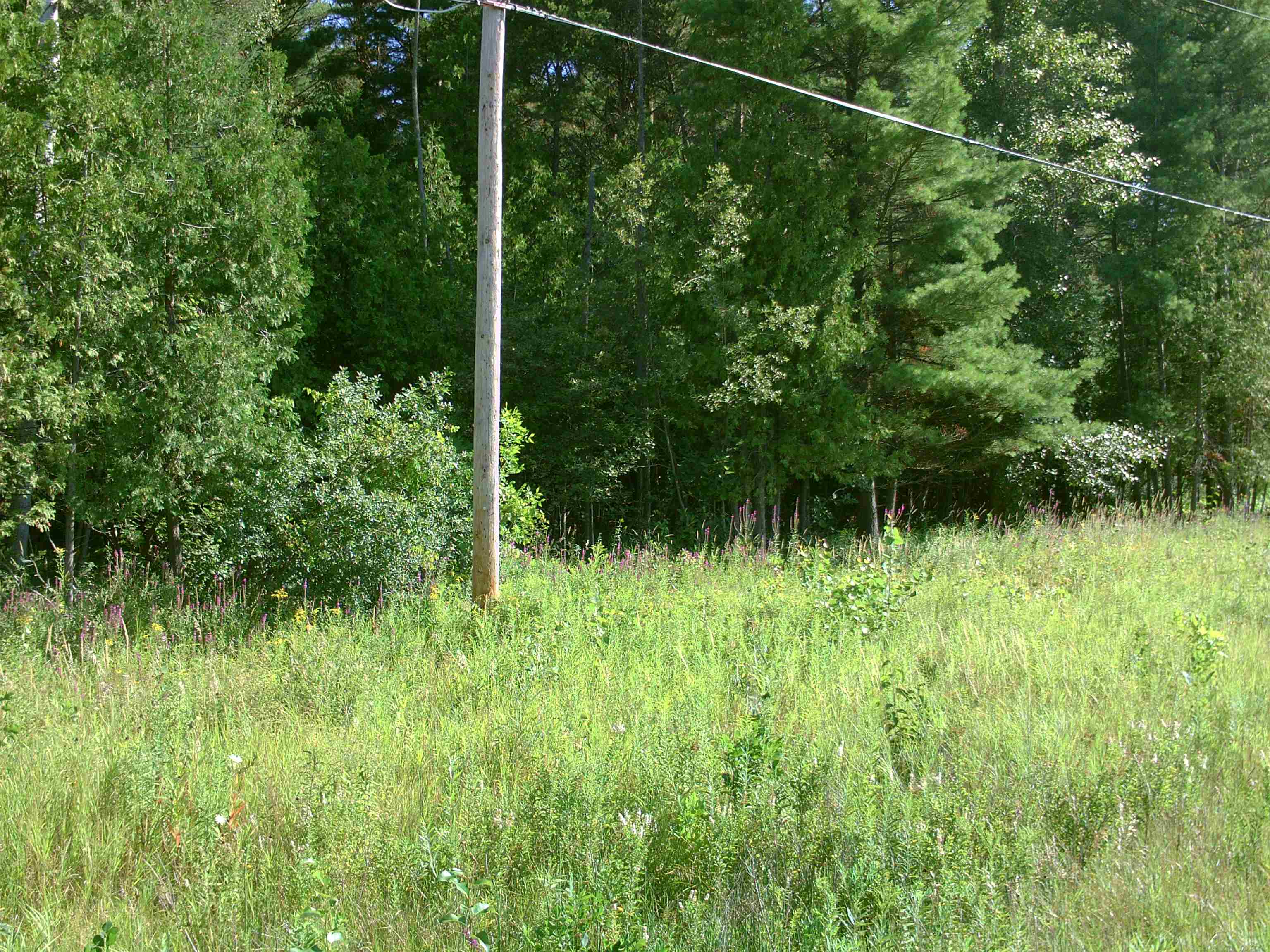 0 M-55 Tawas Township MI 48763