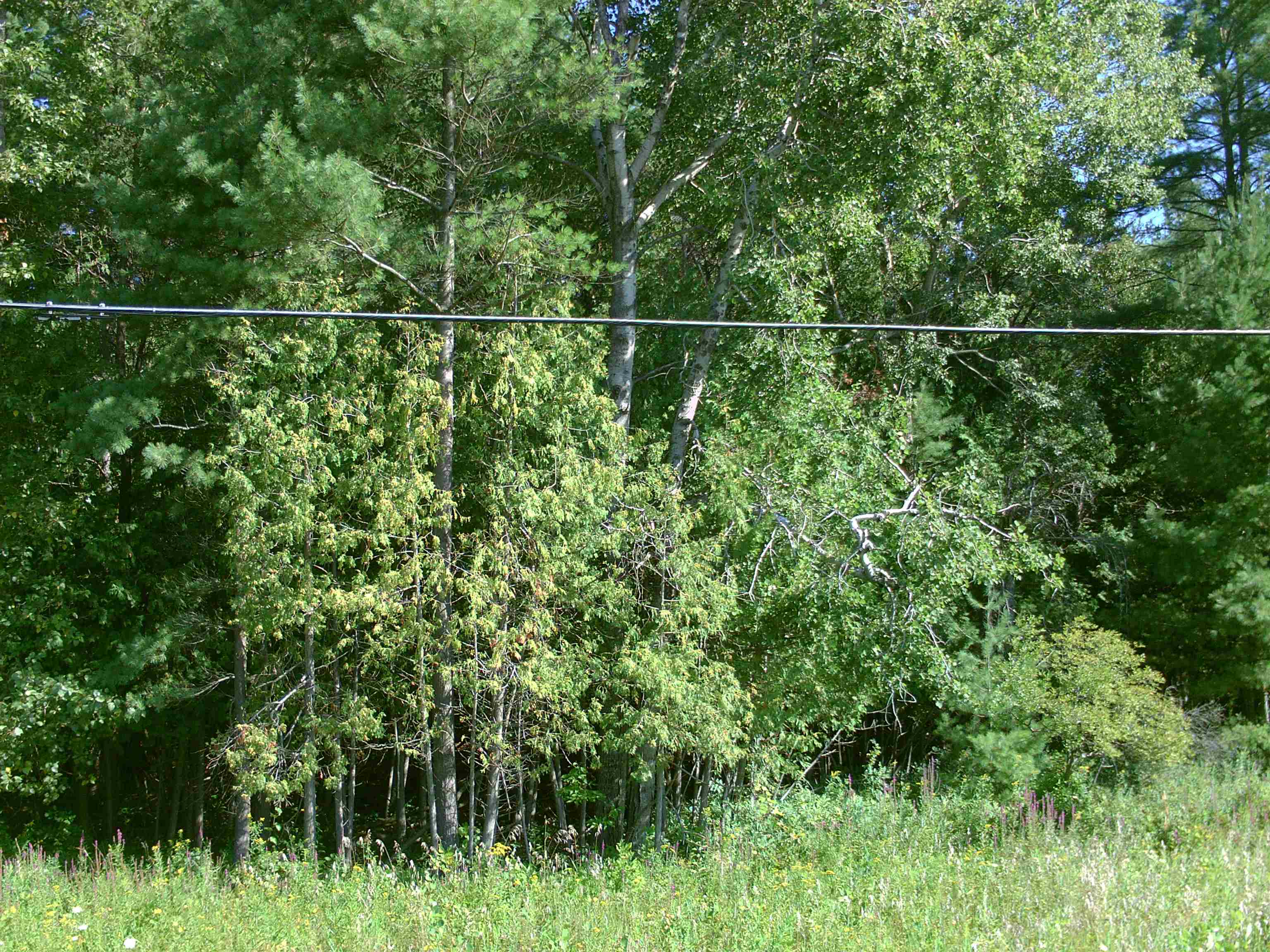 0 M-55 Tawas Township MI 48763