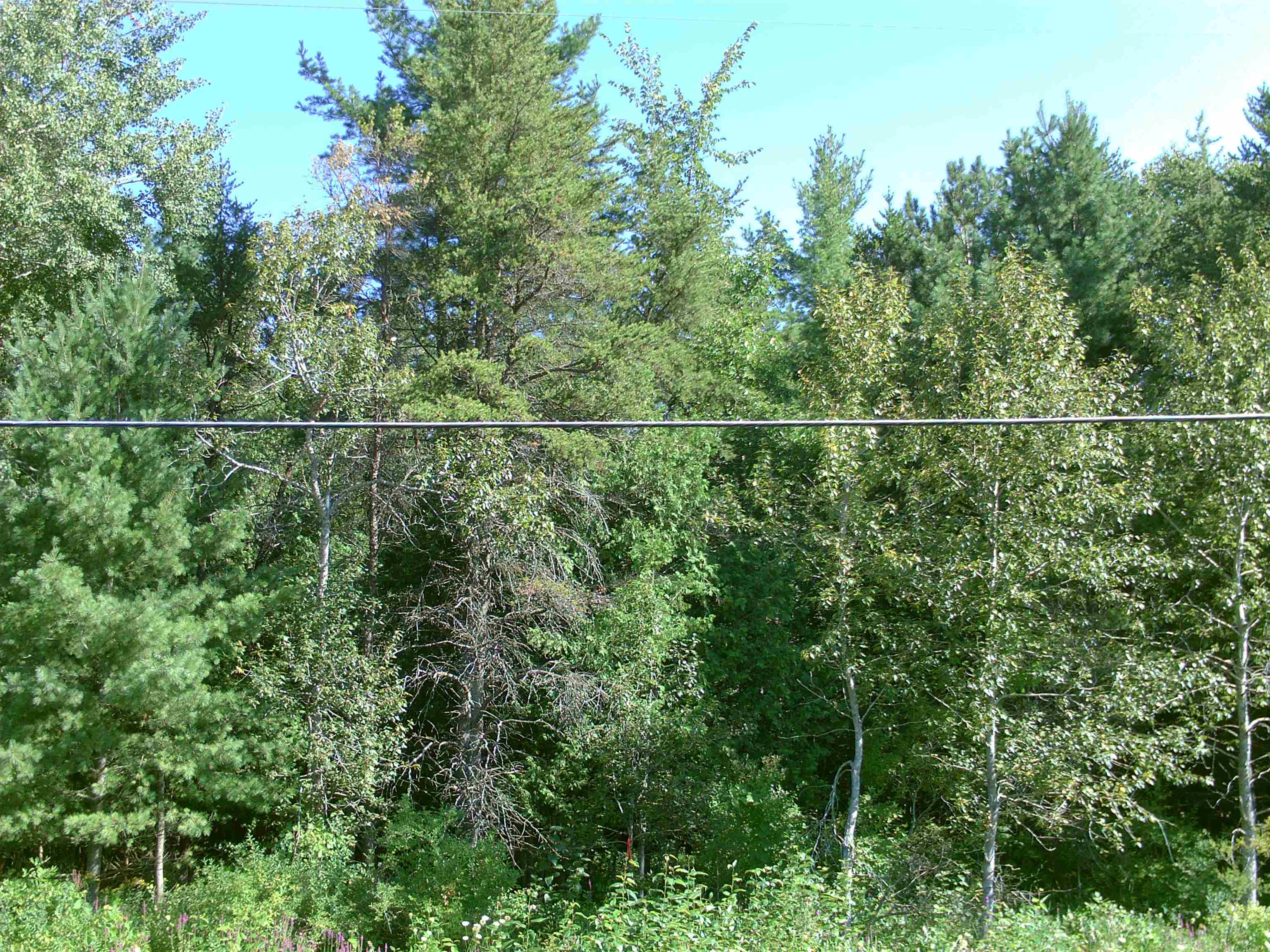 0 M-55 Tawas Township MI 48763