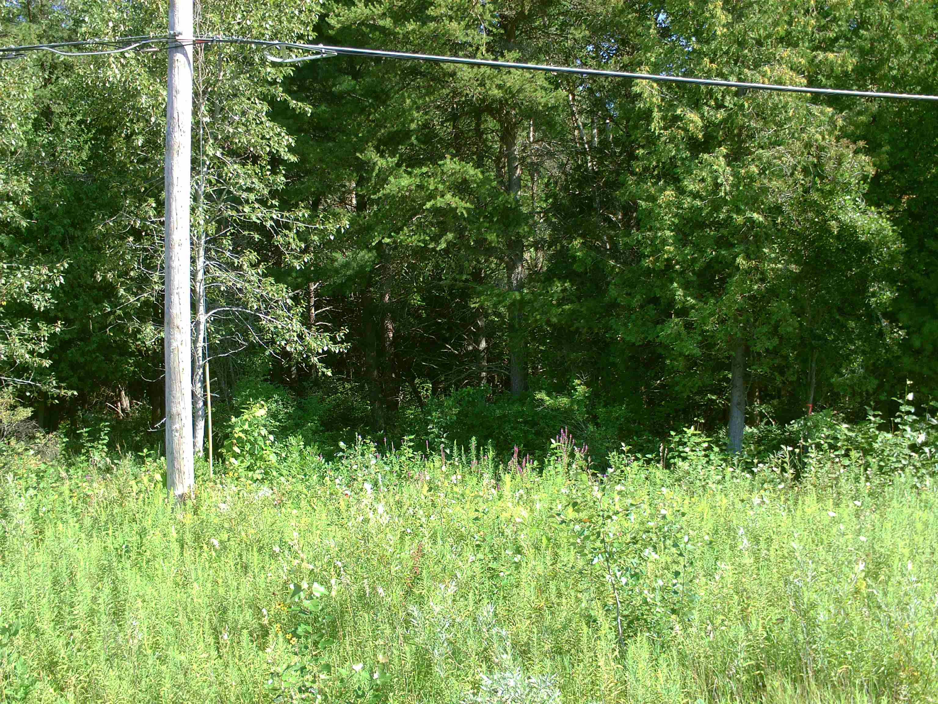 0 M-55 Tawas Township MI 48763