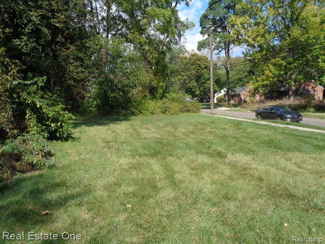 17201 Trinity Street Detroit City MI 48219