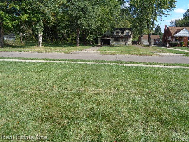 17201 Trinity Street Detroit City MI 48219