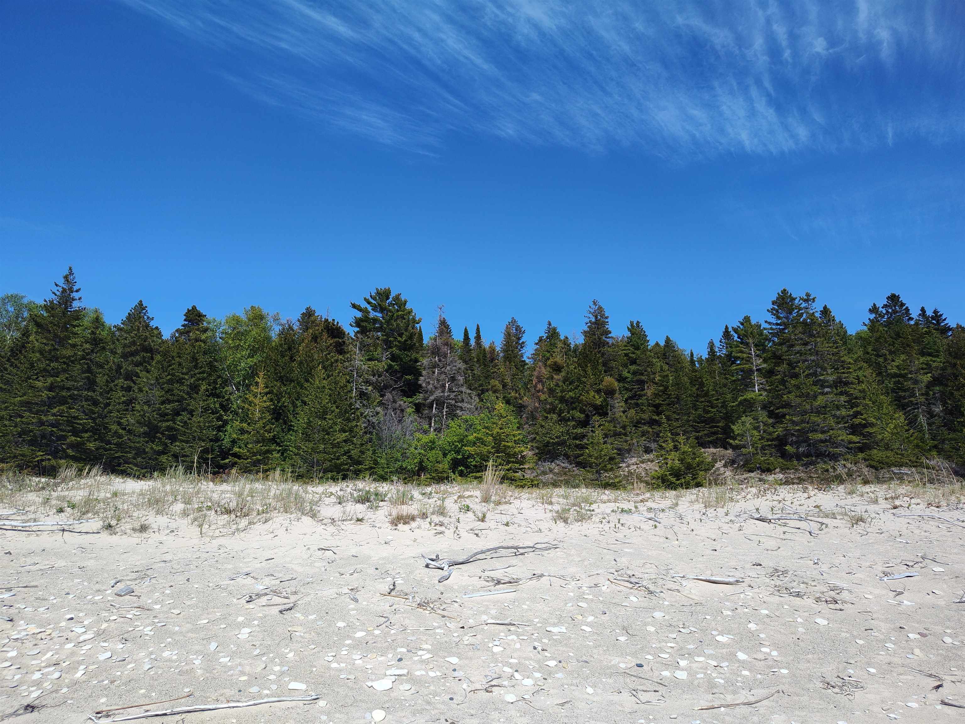 Tbd Mrs Reddings Trail Peaine Township MI 49782