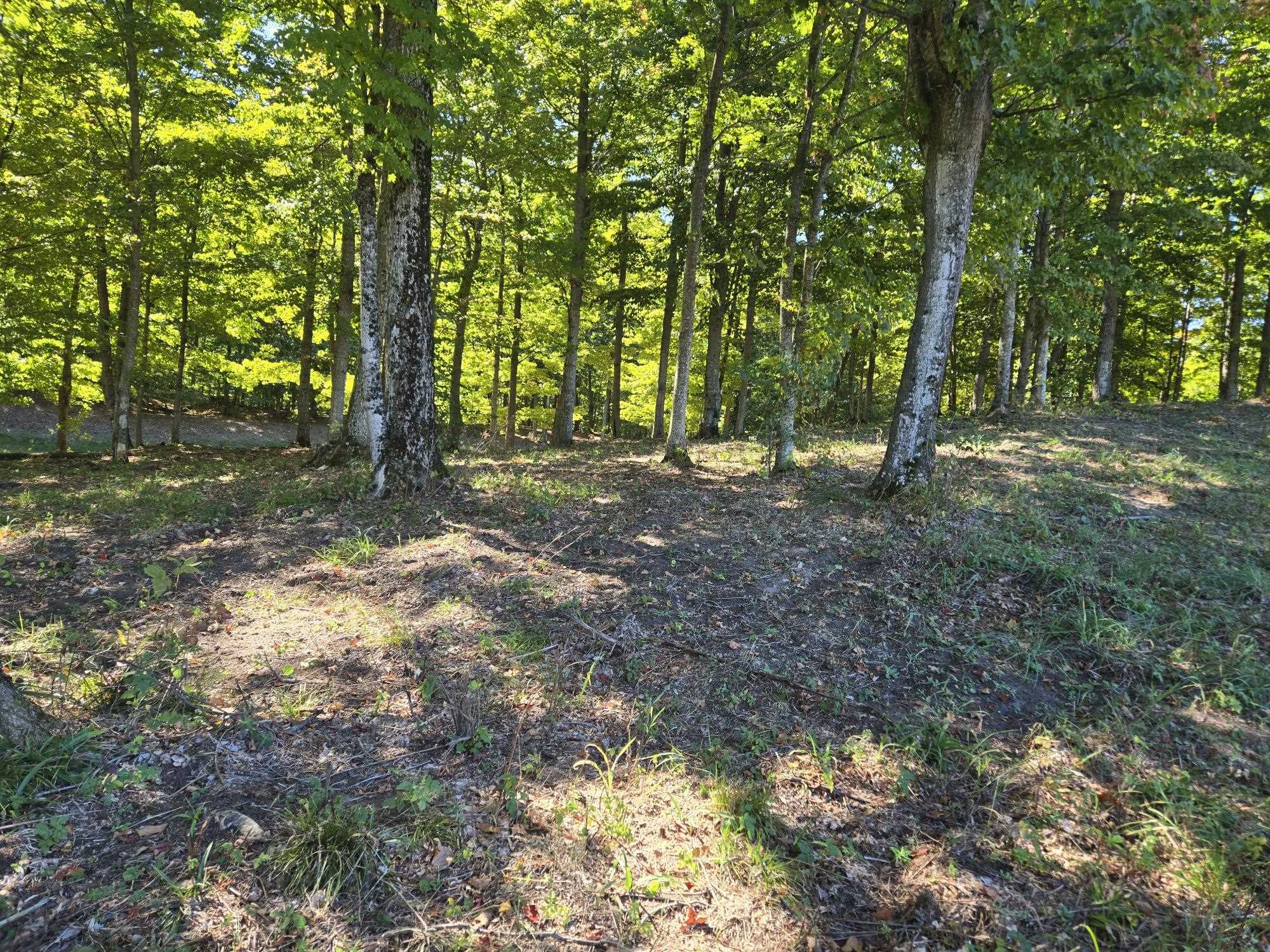 0023 Heather Ridge Trail Homestead Township MI 49617
