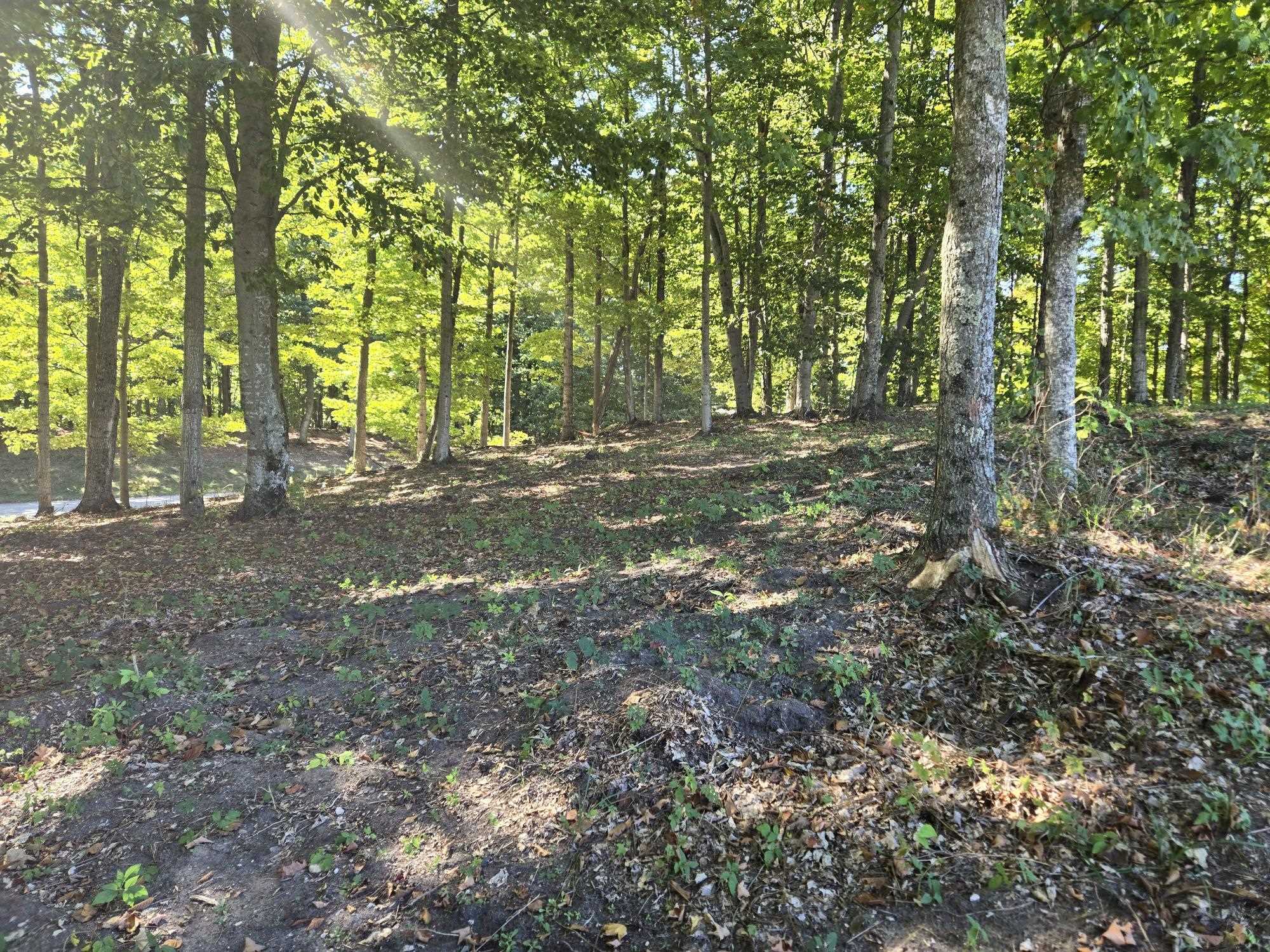 0023 Heather Ridge Trail Homestead Township MI 49617