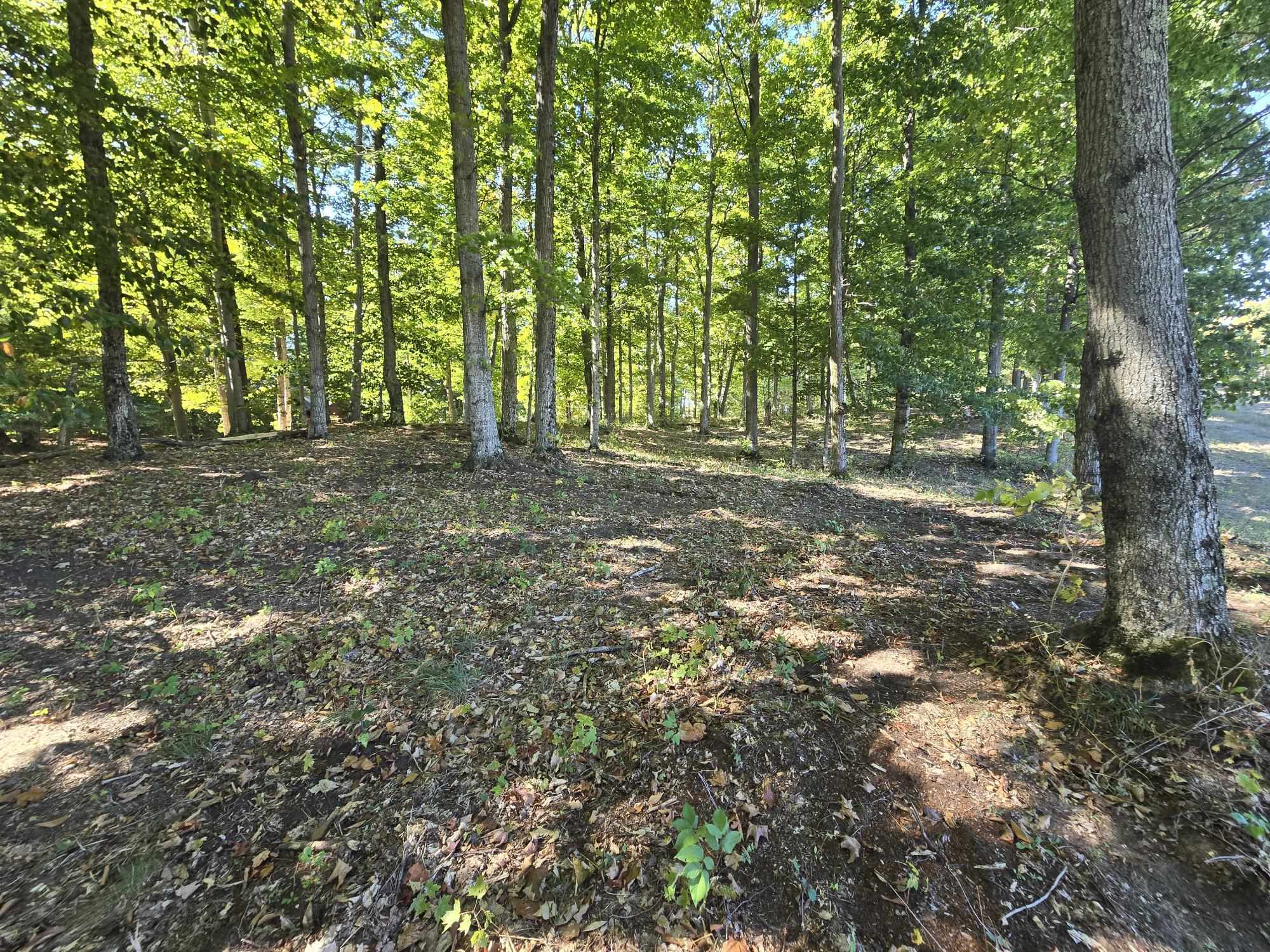 0023 Heather Ridge Trail Homestead Township MI 49617