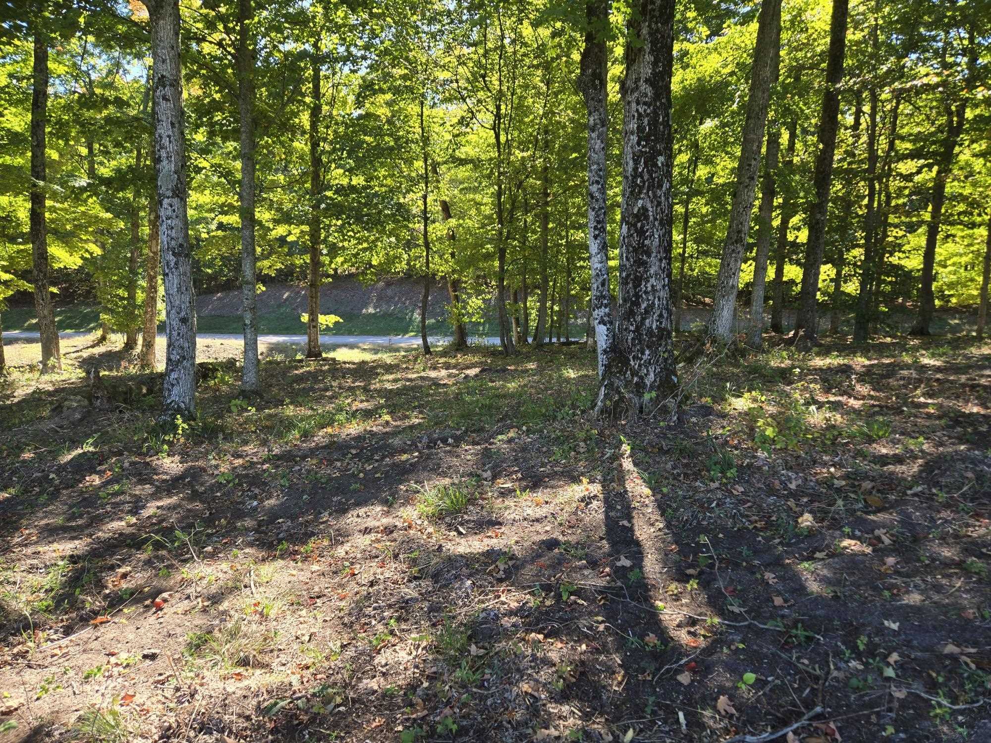 0023 Heather Ridge Trail Homestead Township MI 49617