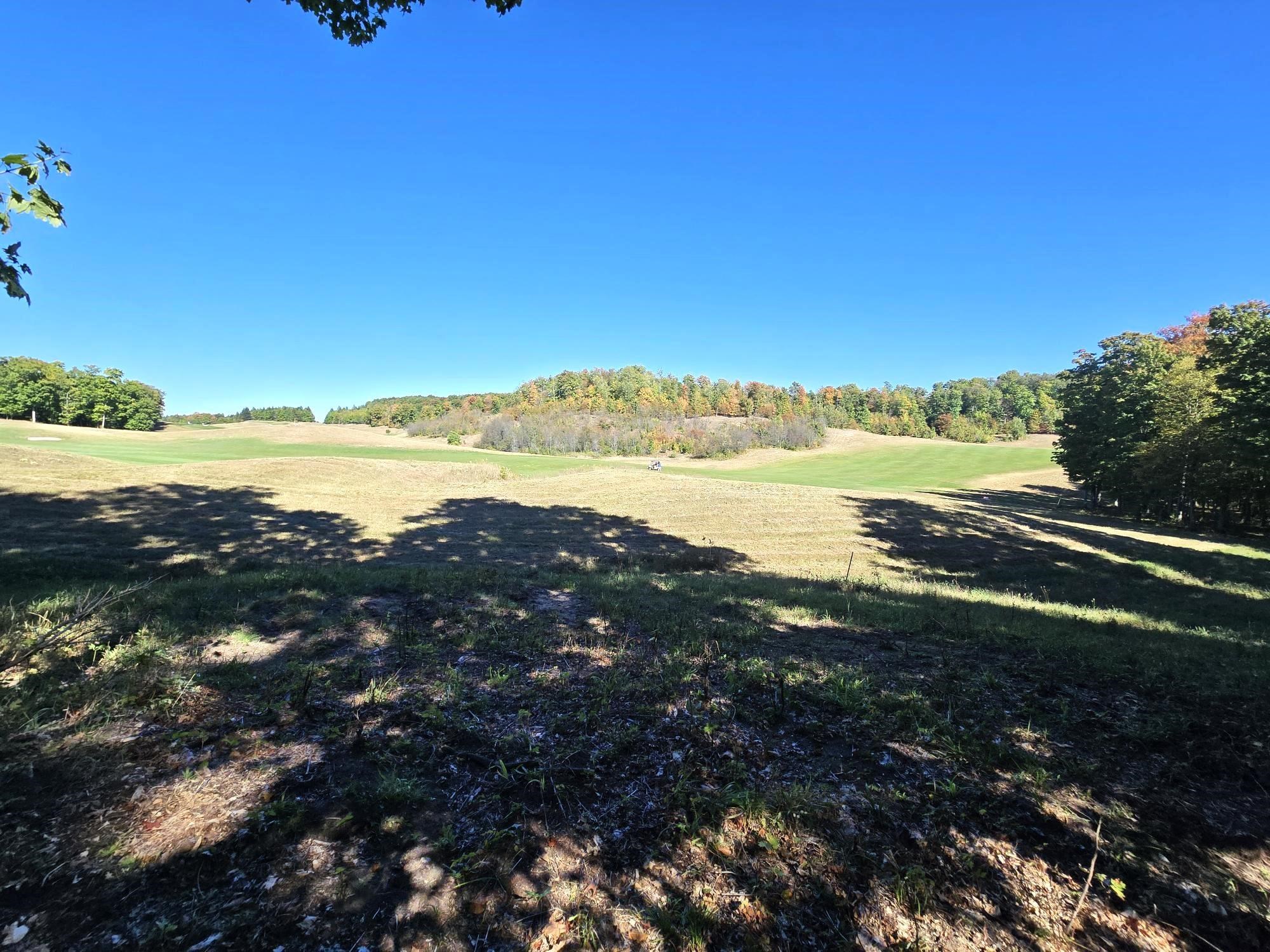 0023 Heather Ridge Trail Homestead Township MI 49617