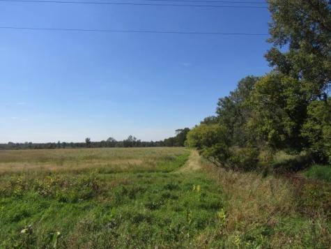 V/L Morrice Road Bennington Township MI 48867