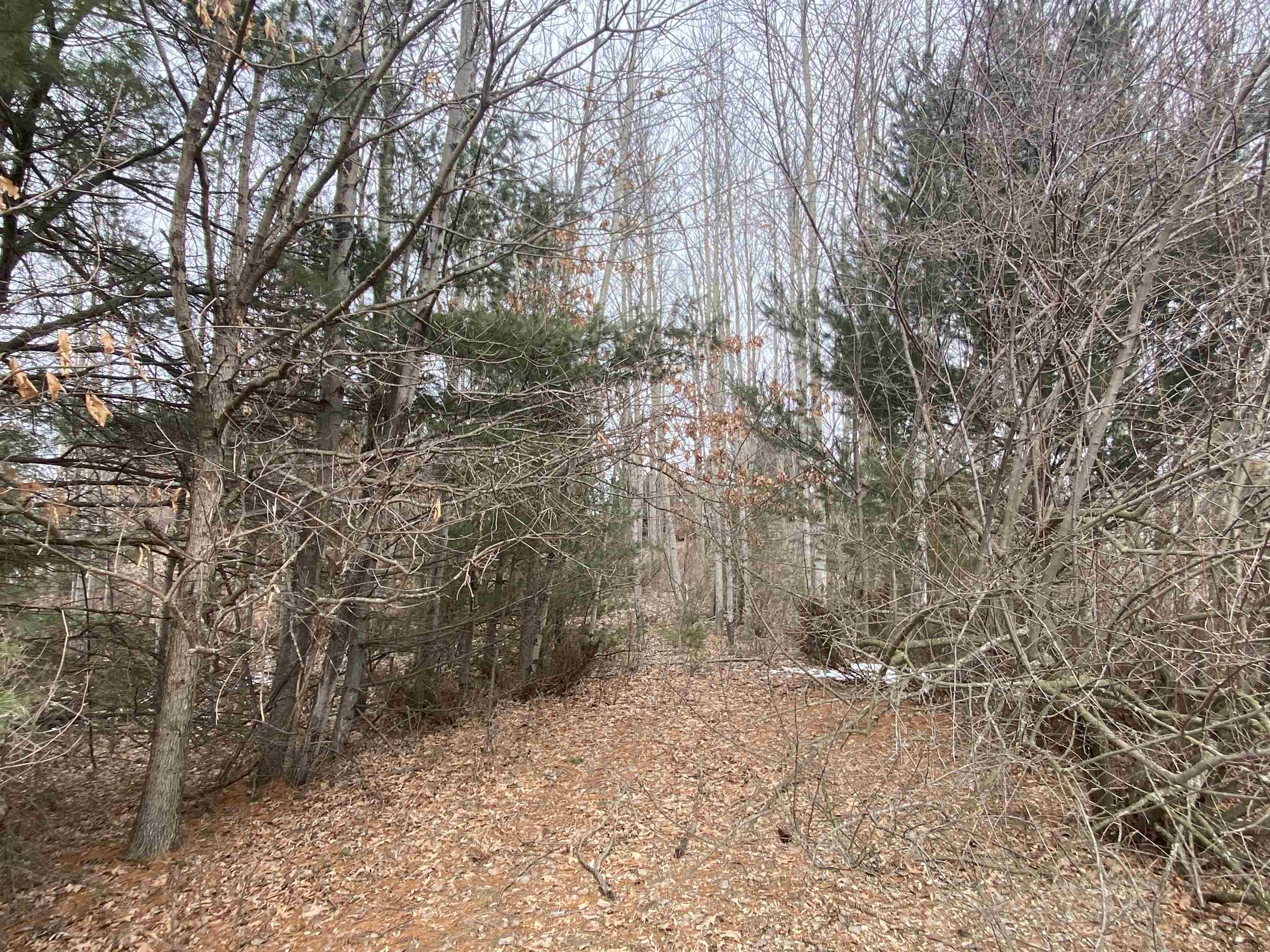 Lot 33 Scenic Hills Drive Acme Township MI 49690