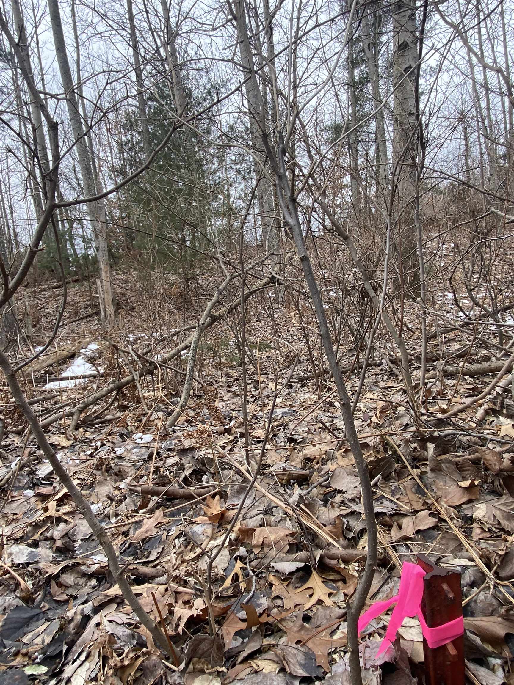Lot 33 Scenic Hills Drive Acme Township MI 49690