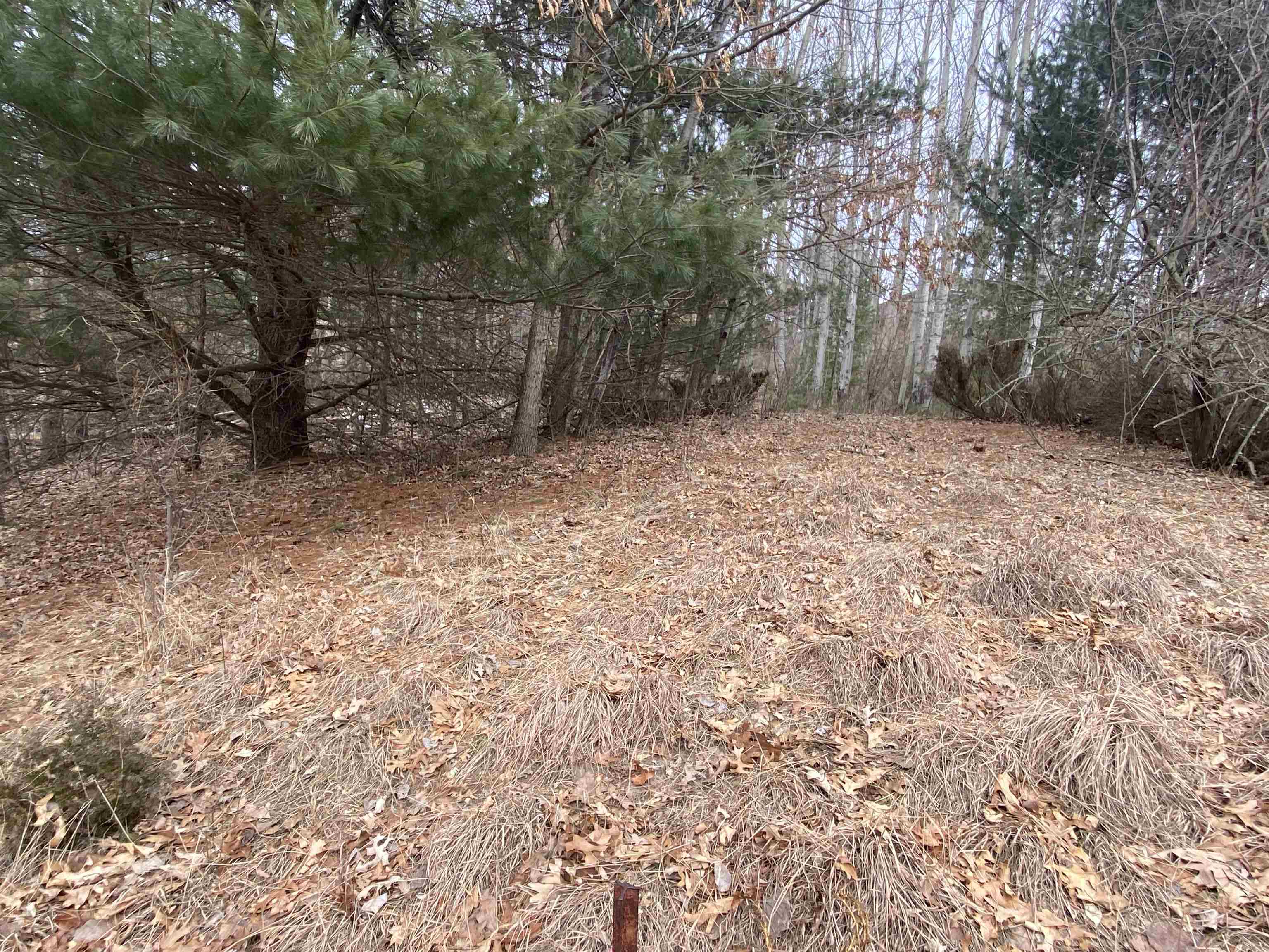 Lot 33 Scenic Hills Drive Acme Township MI 49690