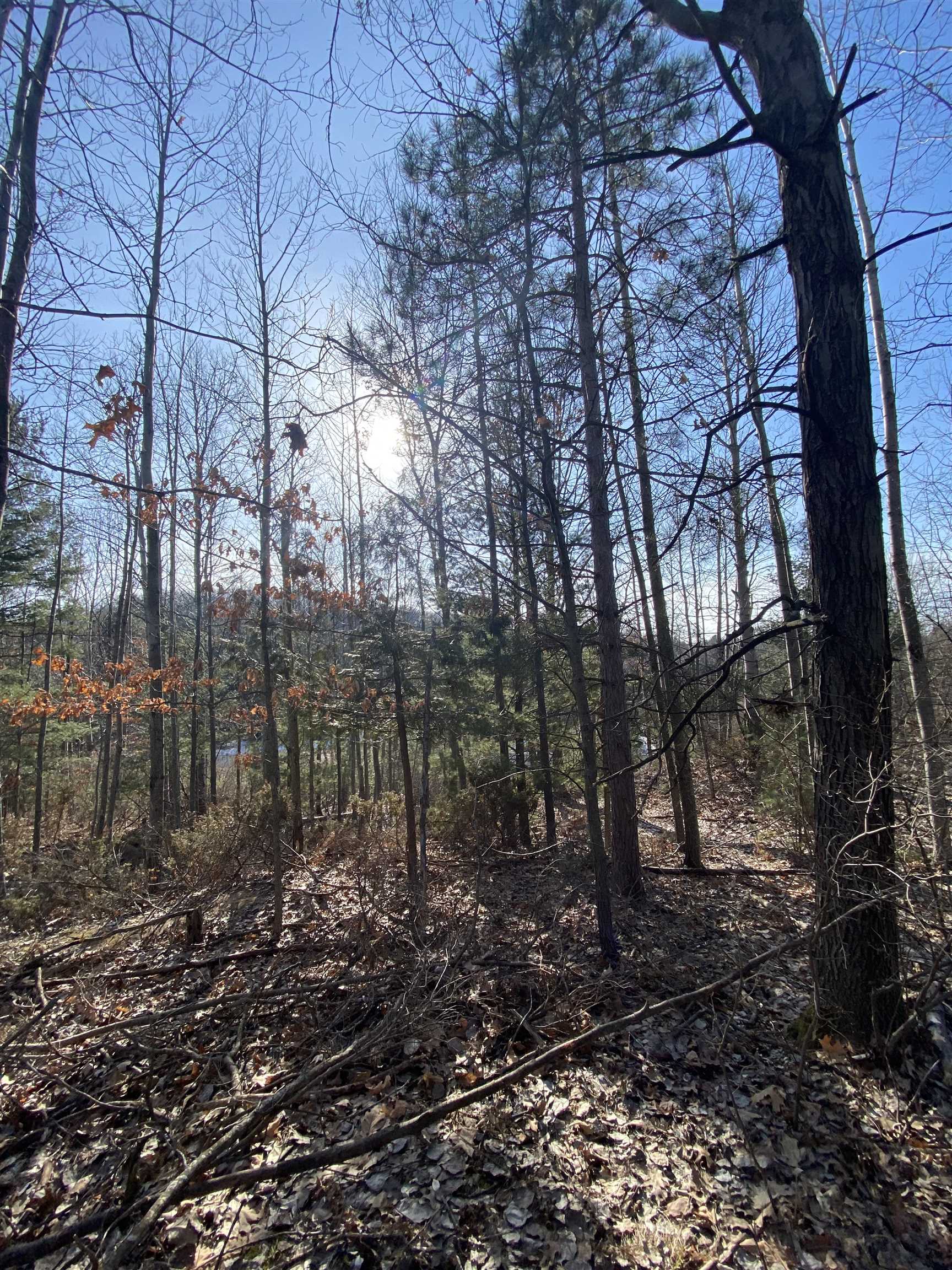 Lot 33 Scenic Hills Drive Acme Township MI 49690