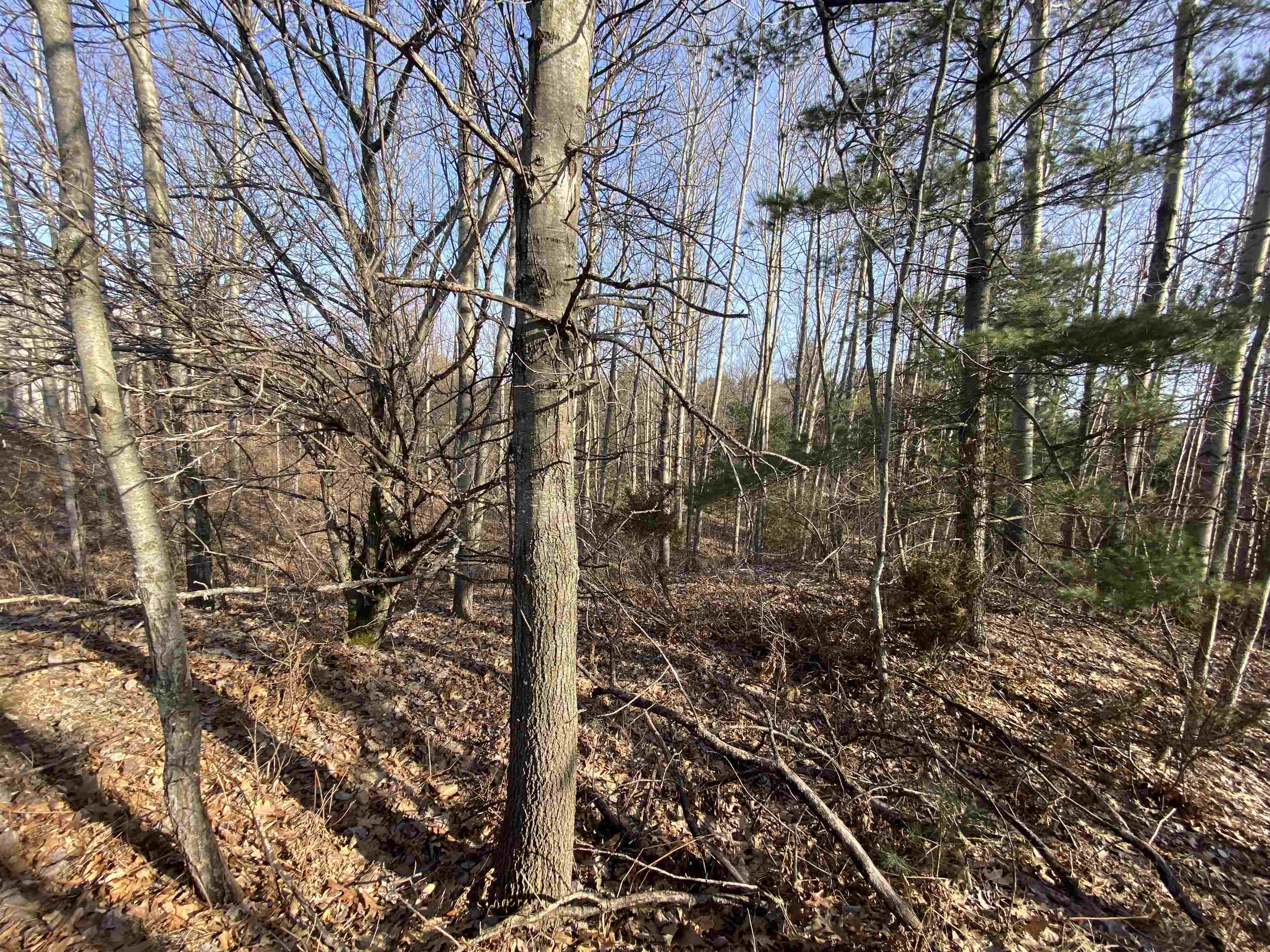 Lot 33 Scenic Hills Drive Acme Township MI 49690