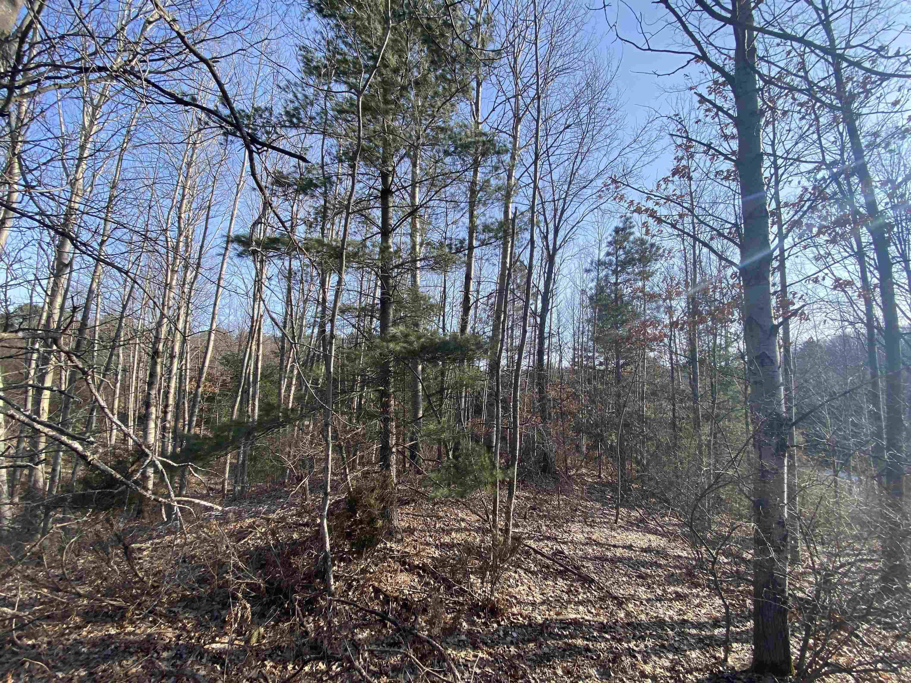Lot 33 Scenic Hills Drive Acme Township MI 49690