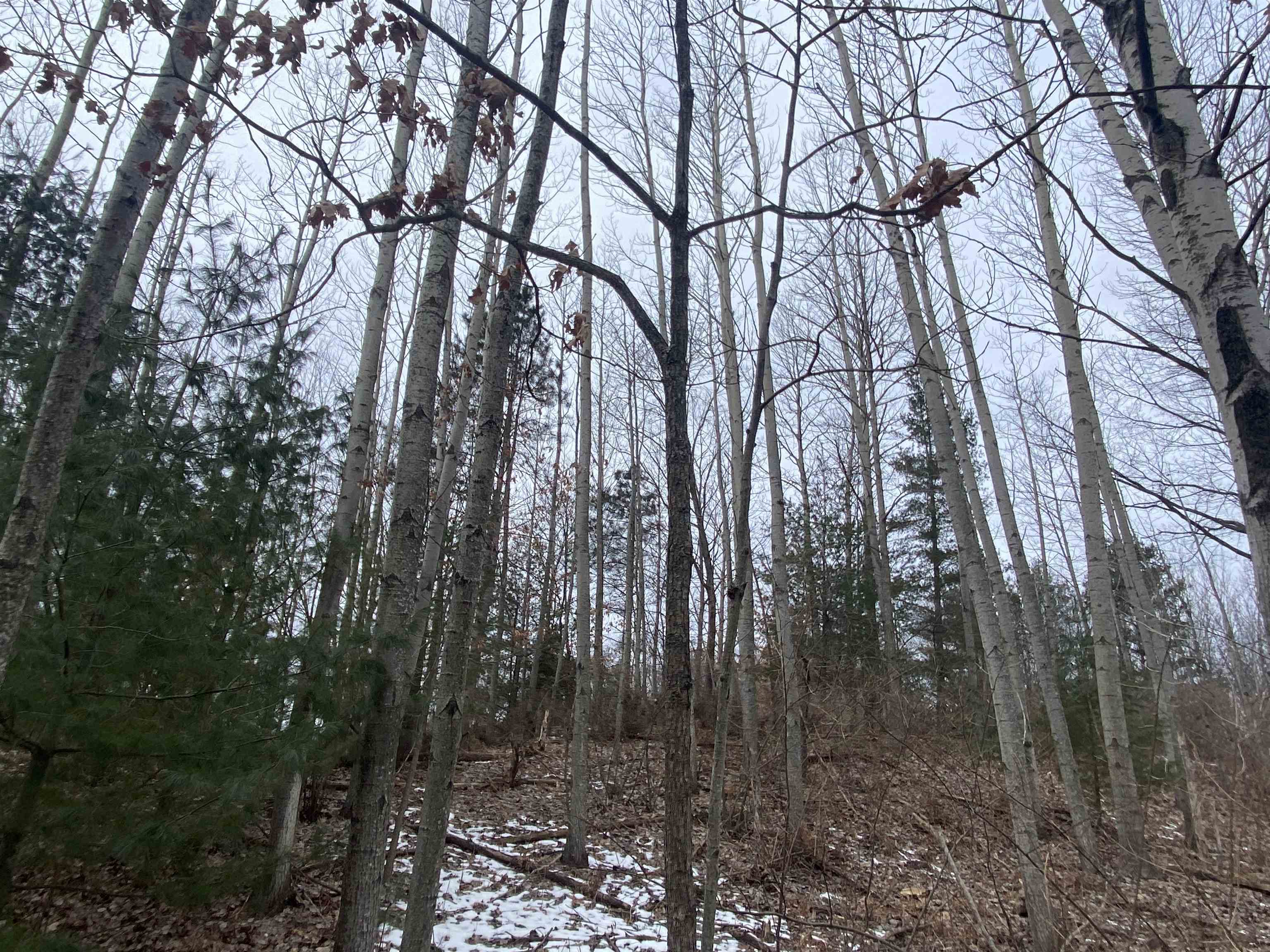 Lot 33 Scenic Hills Drive Acme Township MI 49690