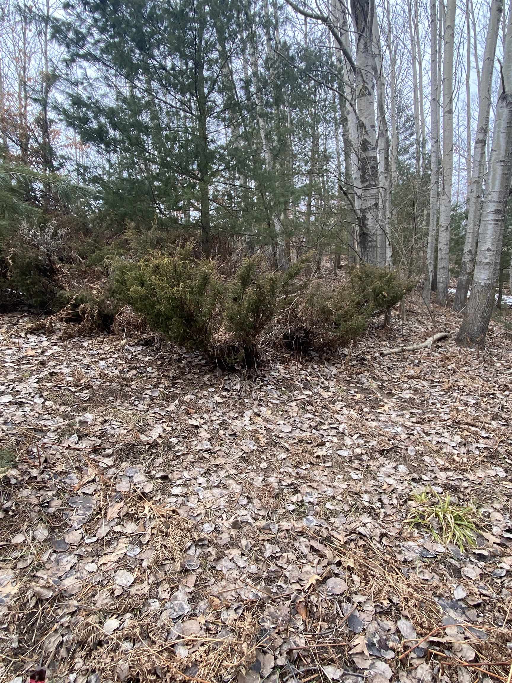 Lot 33 Scenic Hills Drive Acme Township MI 49690