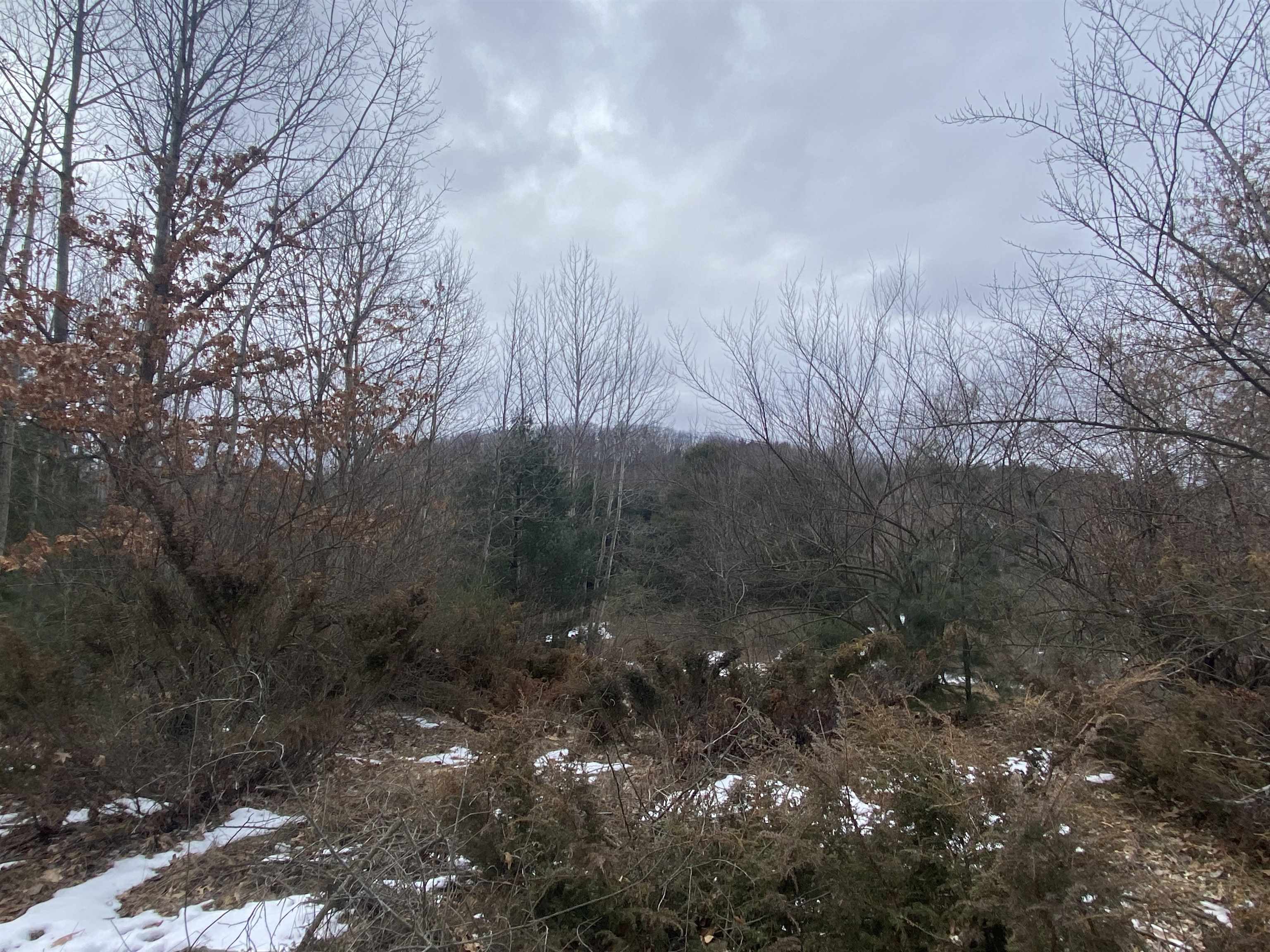 Lot 33 Scenic Hills Drive Acme Township MI 49690