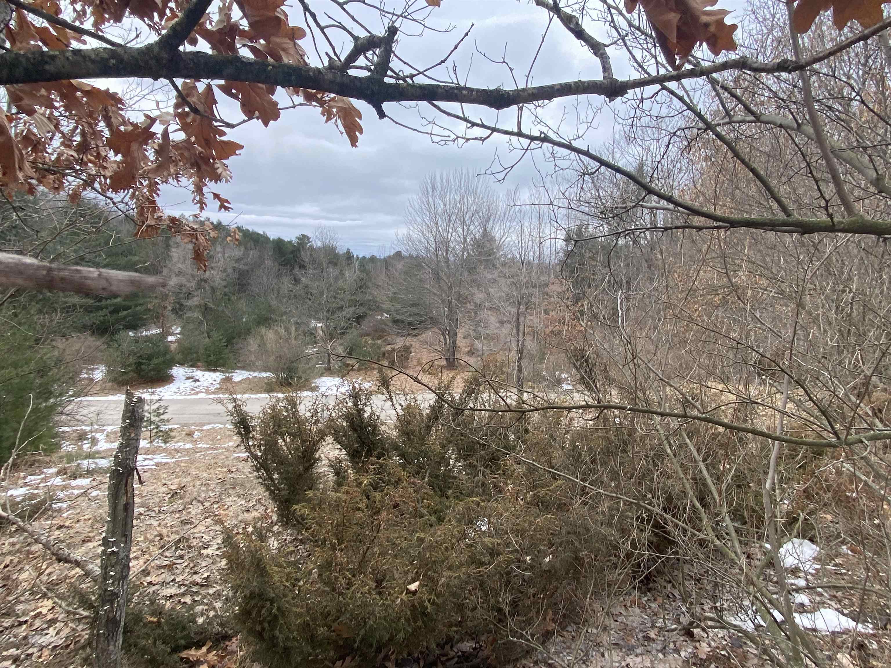 Lot 33 Scenic Hills Drive Acme Township MI 49690