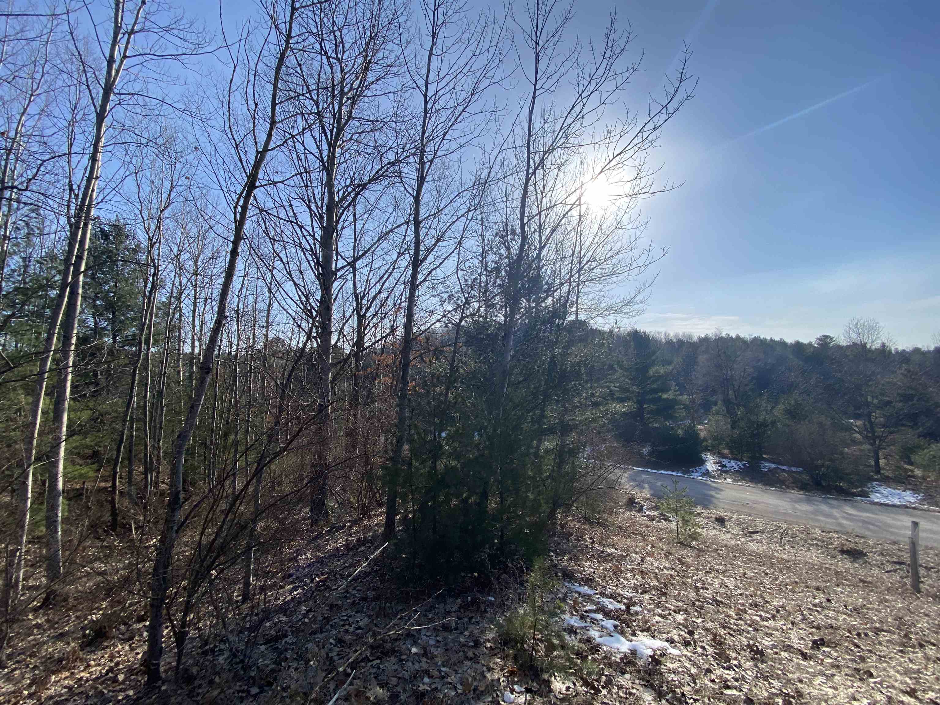 Lot 33 Scenic Hills Drive Acme Township MI 49690