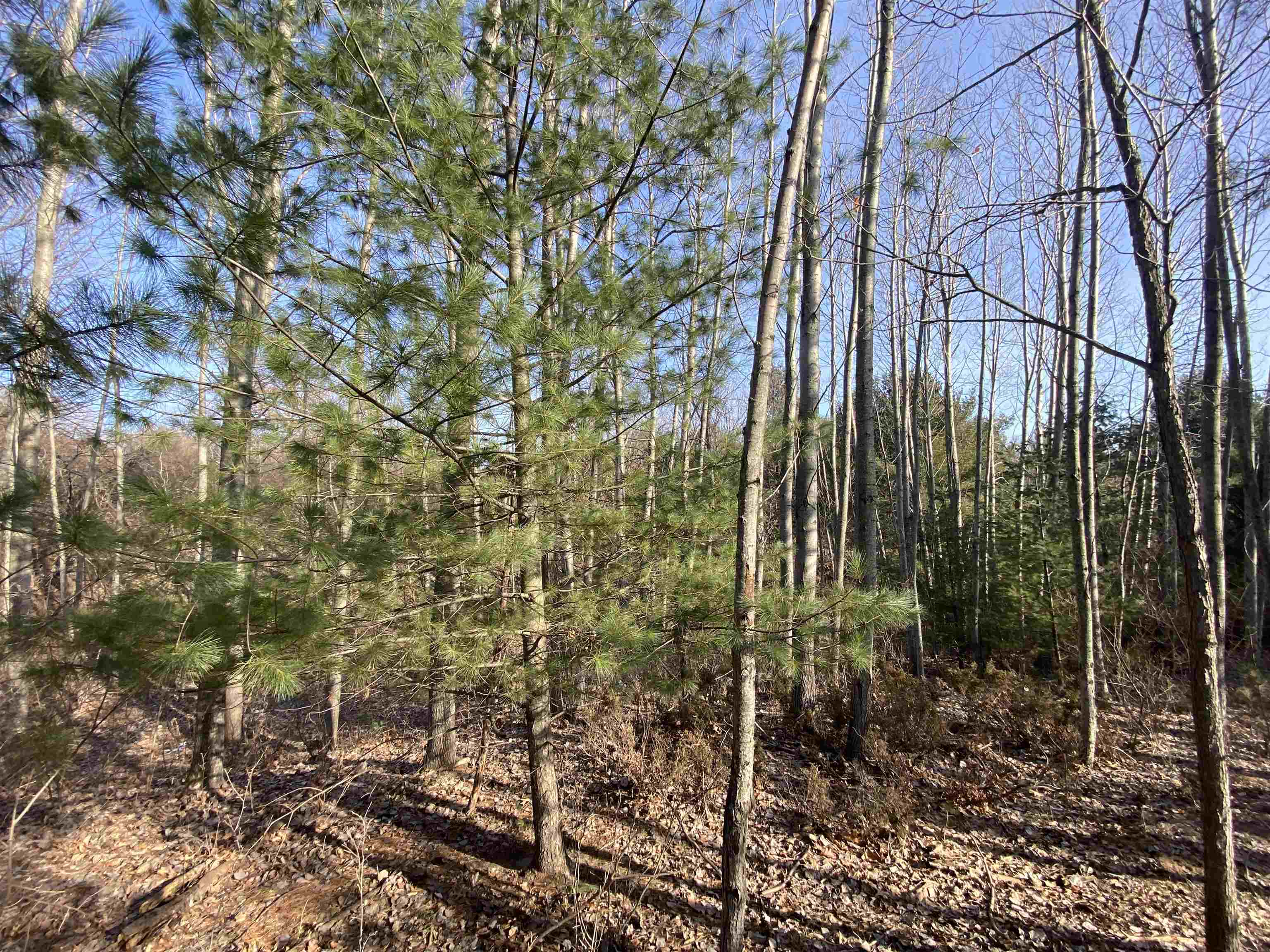 Lot 33 Scenic Hills Drive Acme Township MI 49690